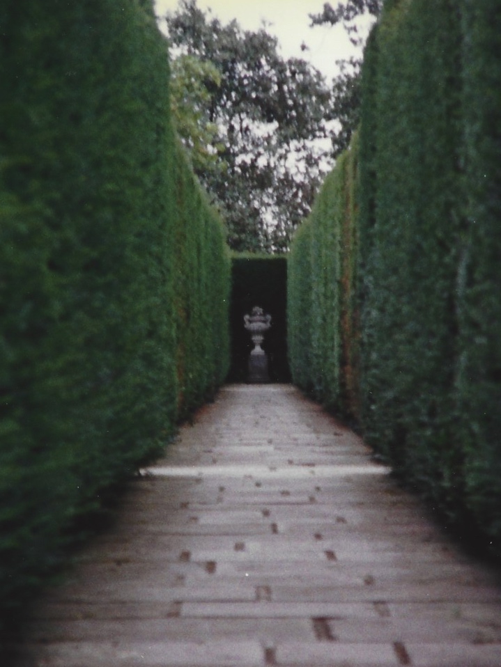 Two long, tall hedges form a corridor in a garden at Sissinghurst.
