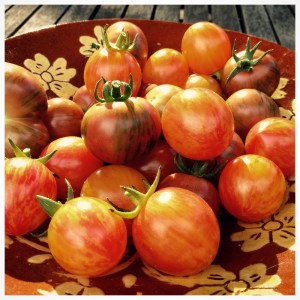 A bowl of heirloom cherry tomatoes.
