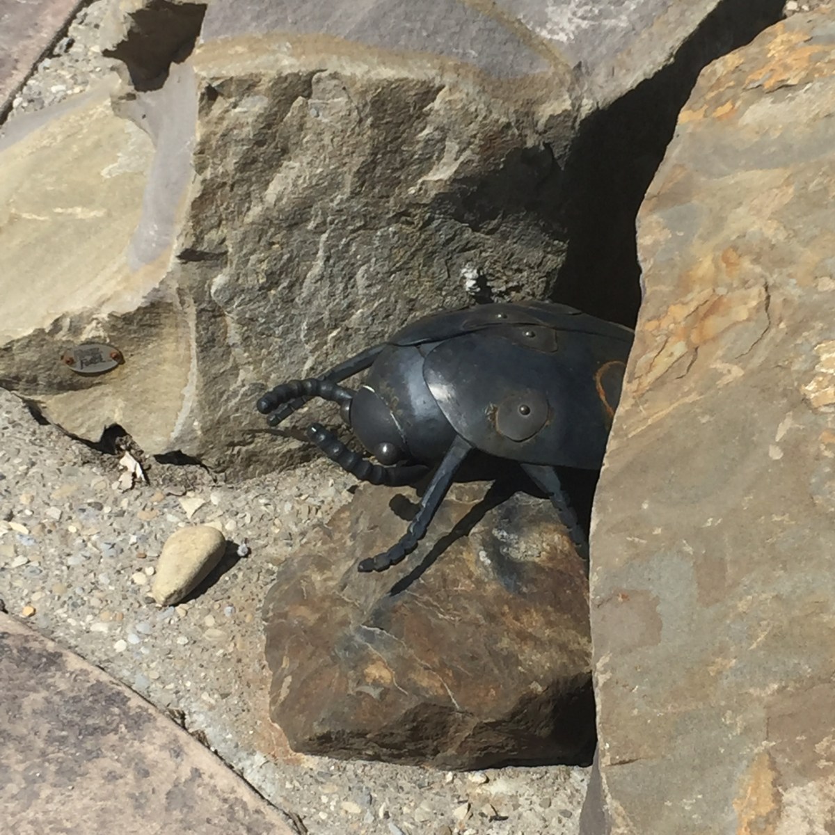 A garden sculpture depicting a bug in metal.