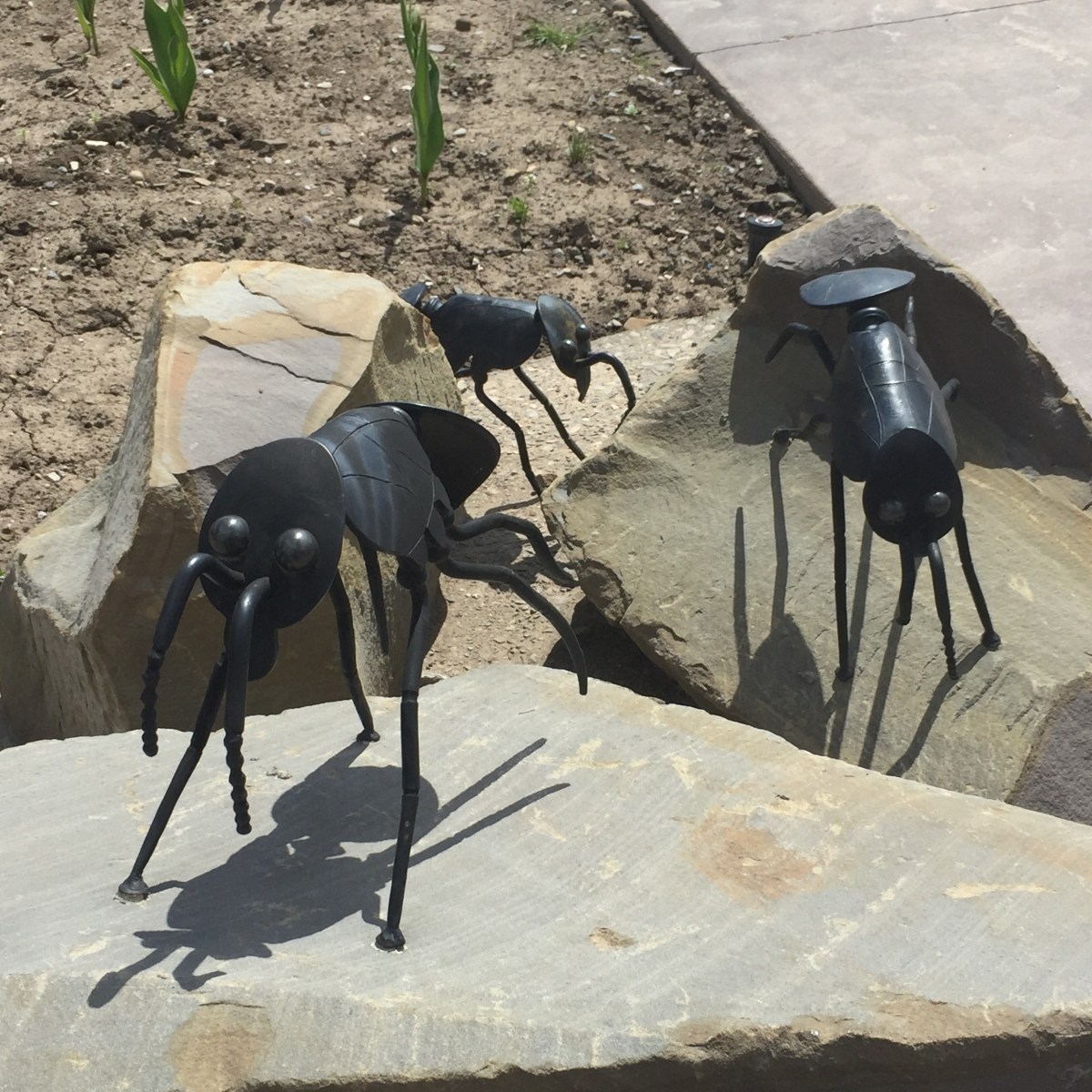 Small metal ant sculptures