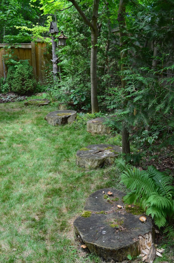 A row of tree stumps create a border along the edge of a lawn.