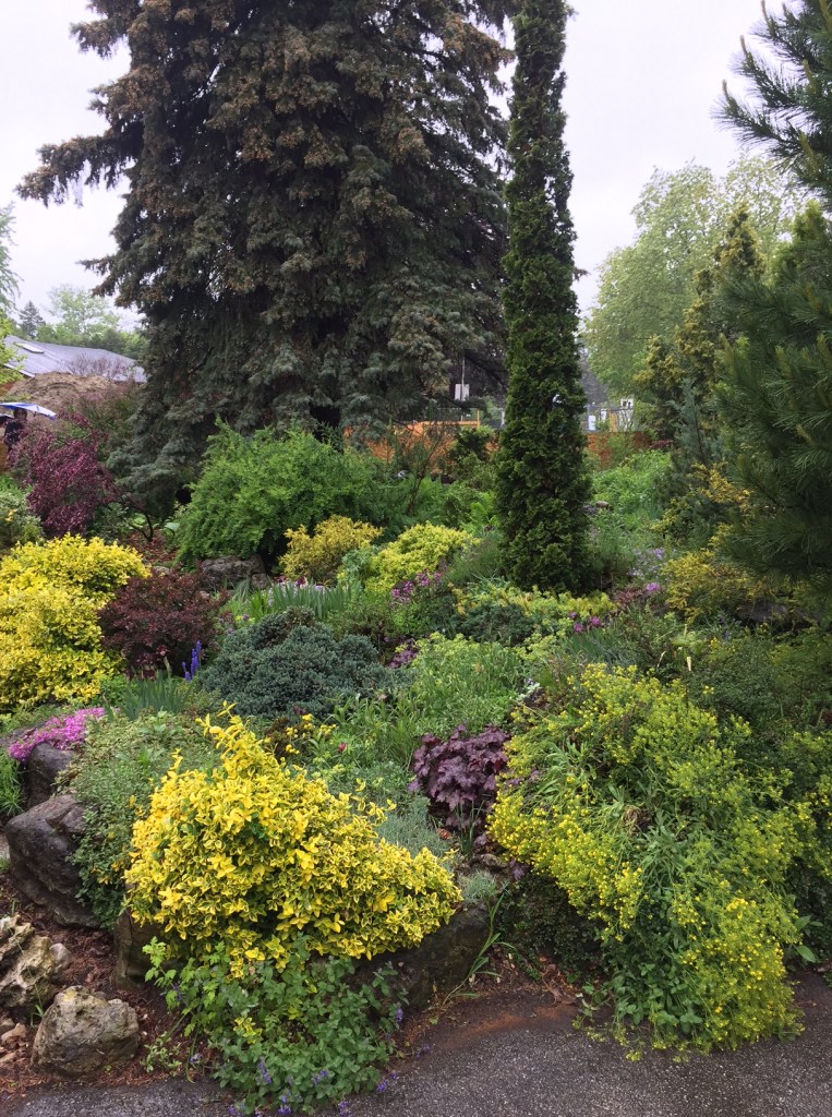A front garden in spring is filled with plants with a variety of coloured foliage.