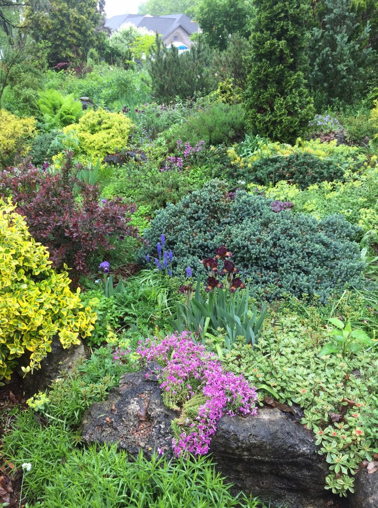 A front garden is filled with plants in springtime
