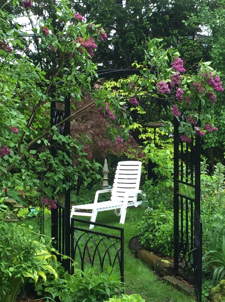 A small space in a filled back garden provides seating for one.