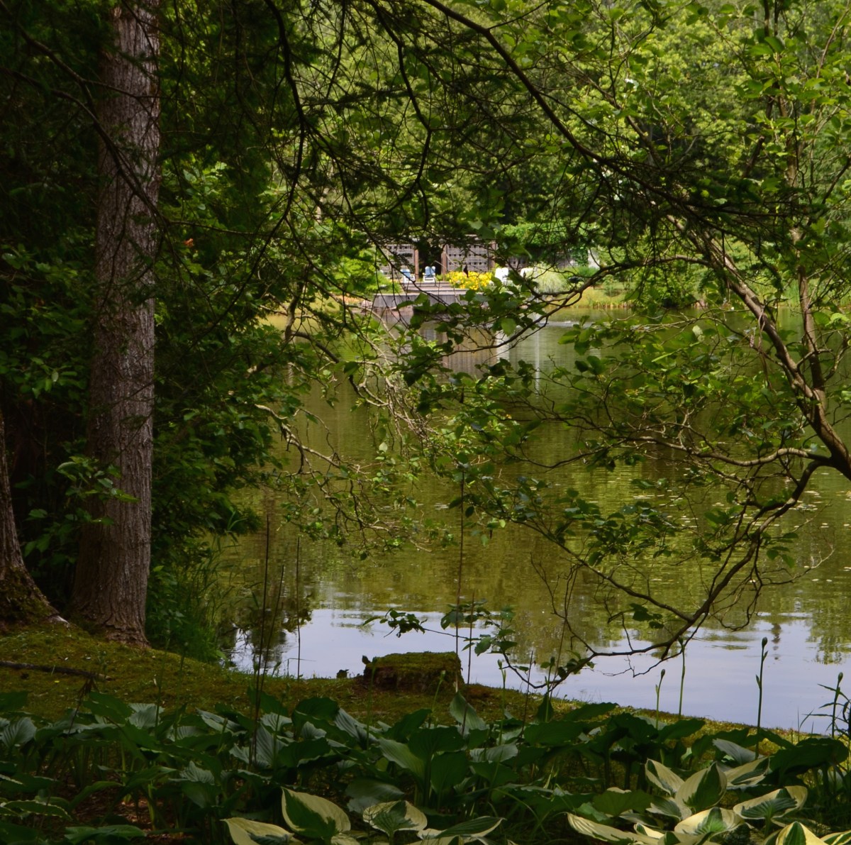 The swimming dock and pavilion is just seen across the pond surrounded by woodland.