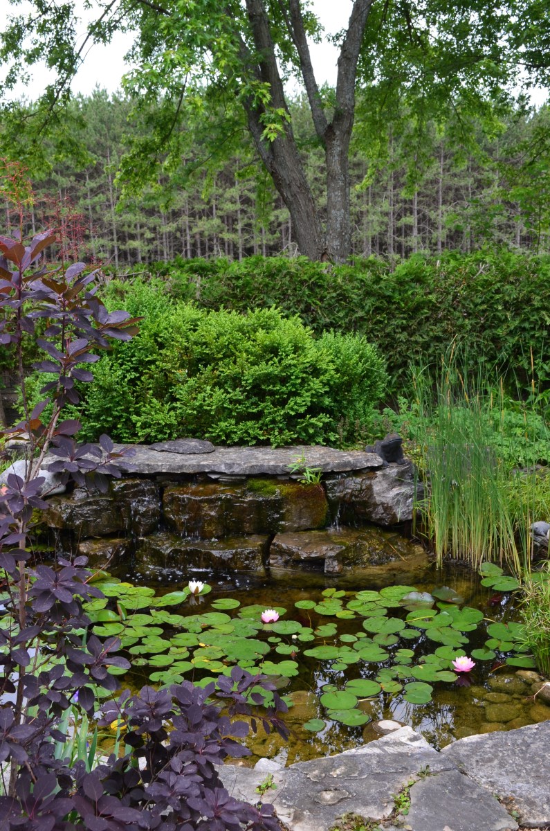 Within the enclosed garden is a small pond.