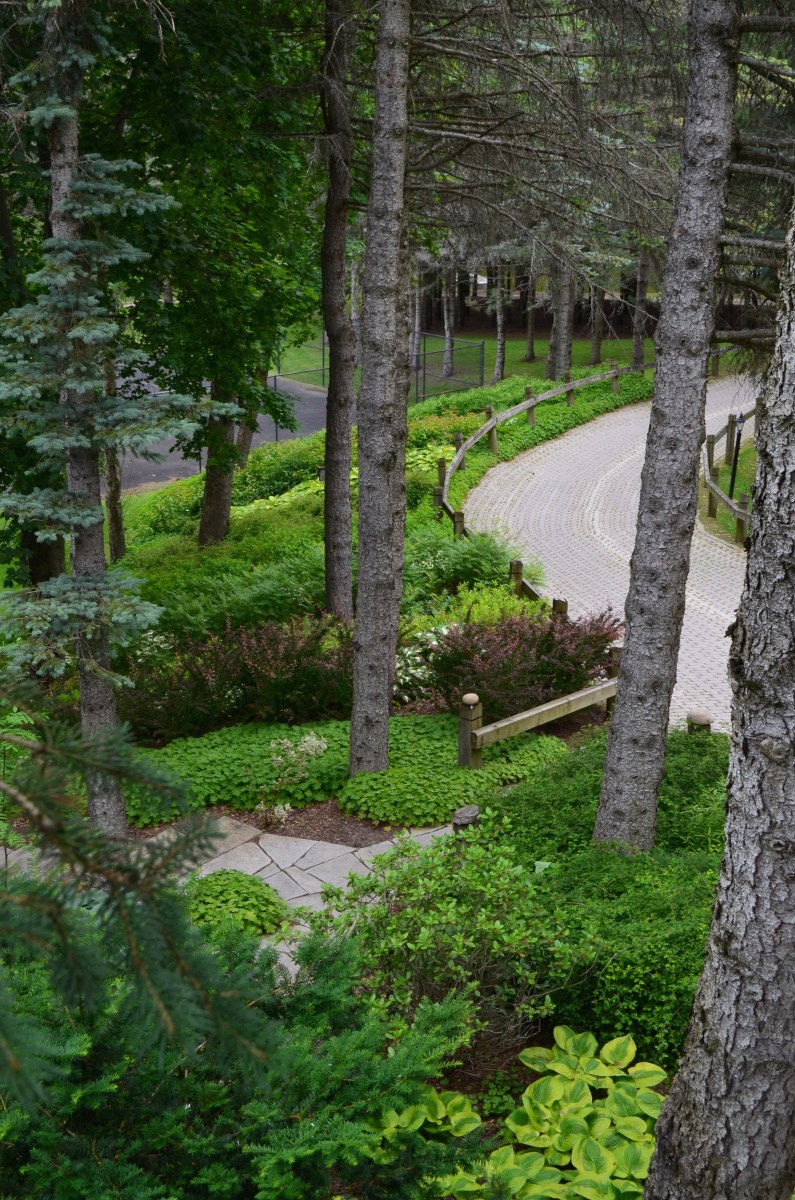 The driveway climbs a hill with rows of perennials looking like streams.