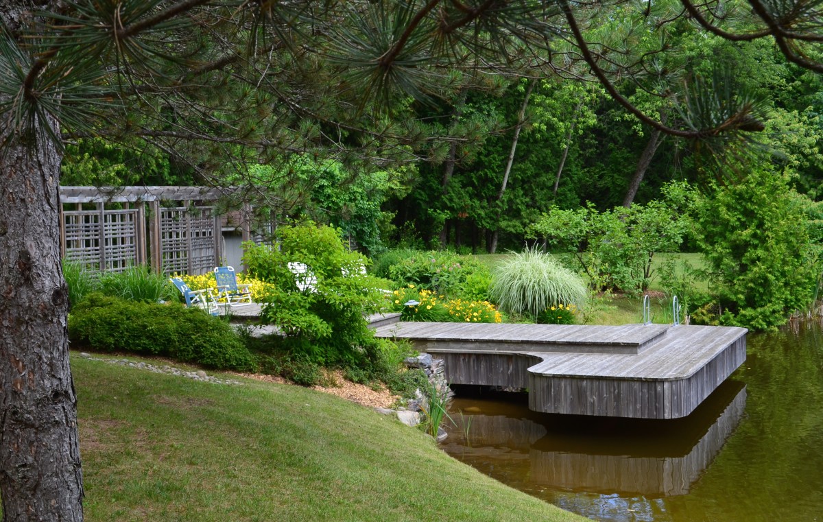 The wood dock and sunning platform echoes the colouring of the surrounding trees.