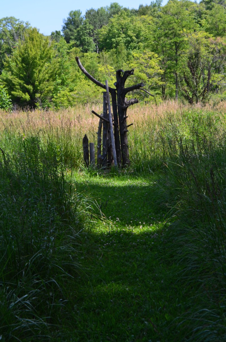 Pieces of found wood become the focal point of a path in an informal garden.