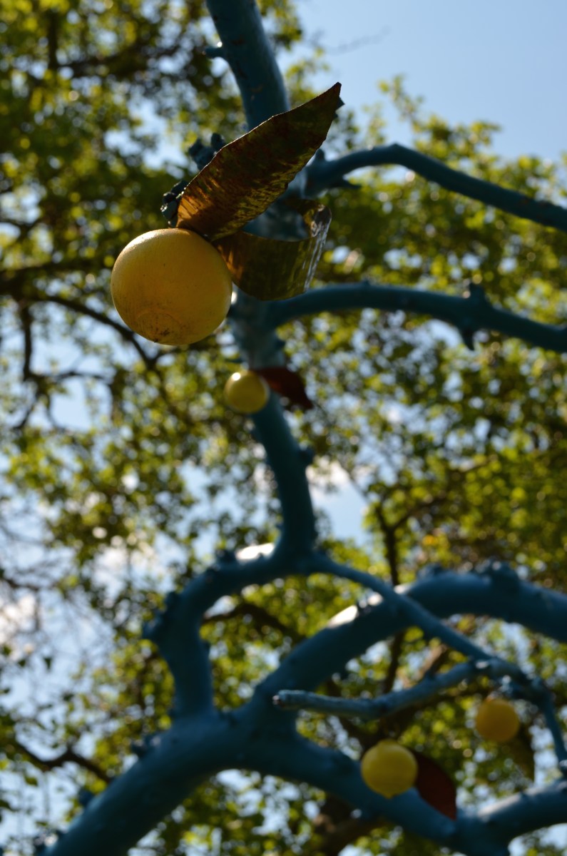 Details of a dead tree branch turned into garden sculpture
