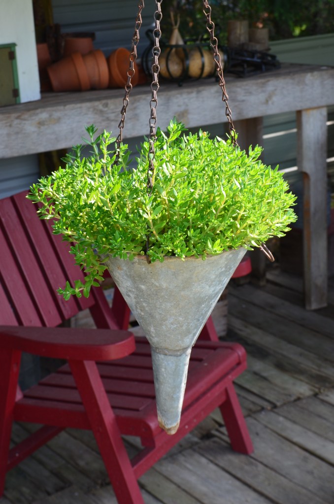 Funnel planter