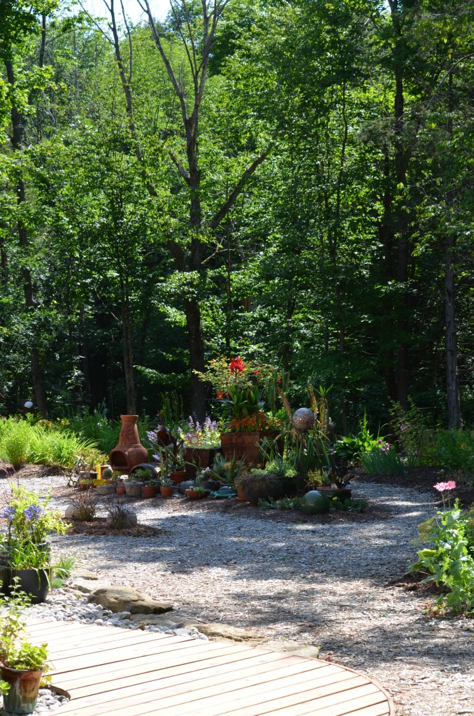 Woodland garden bed as display