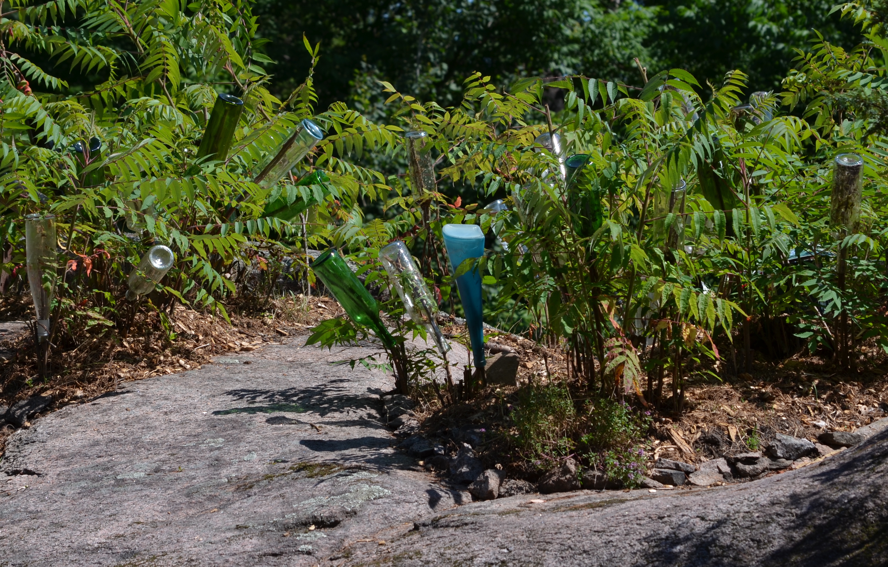 Bottle garden