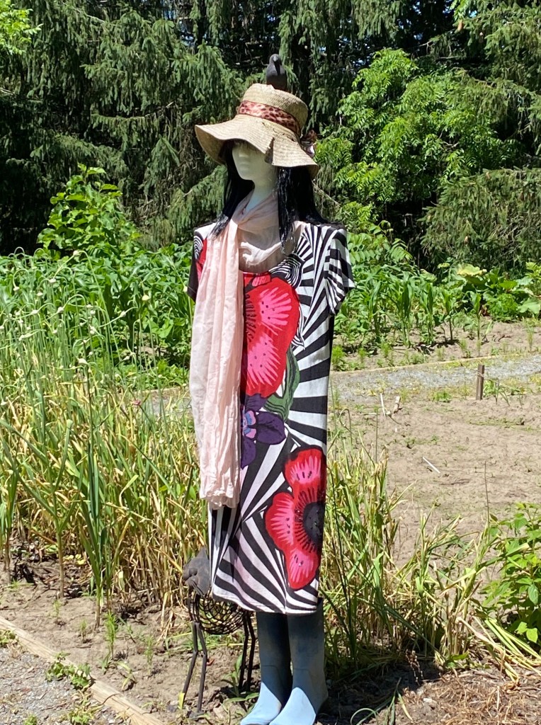 Scarecrow with dress