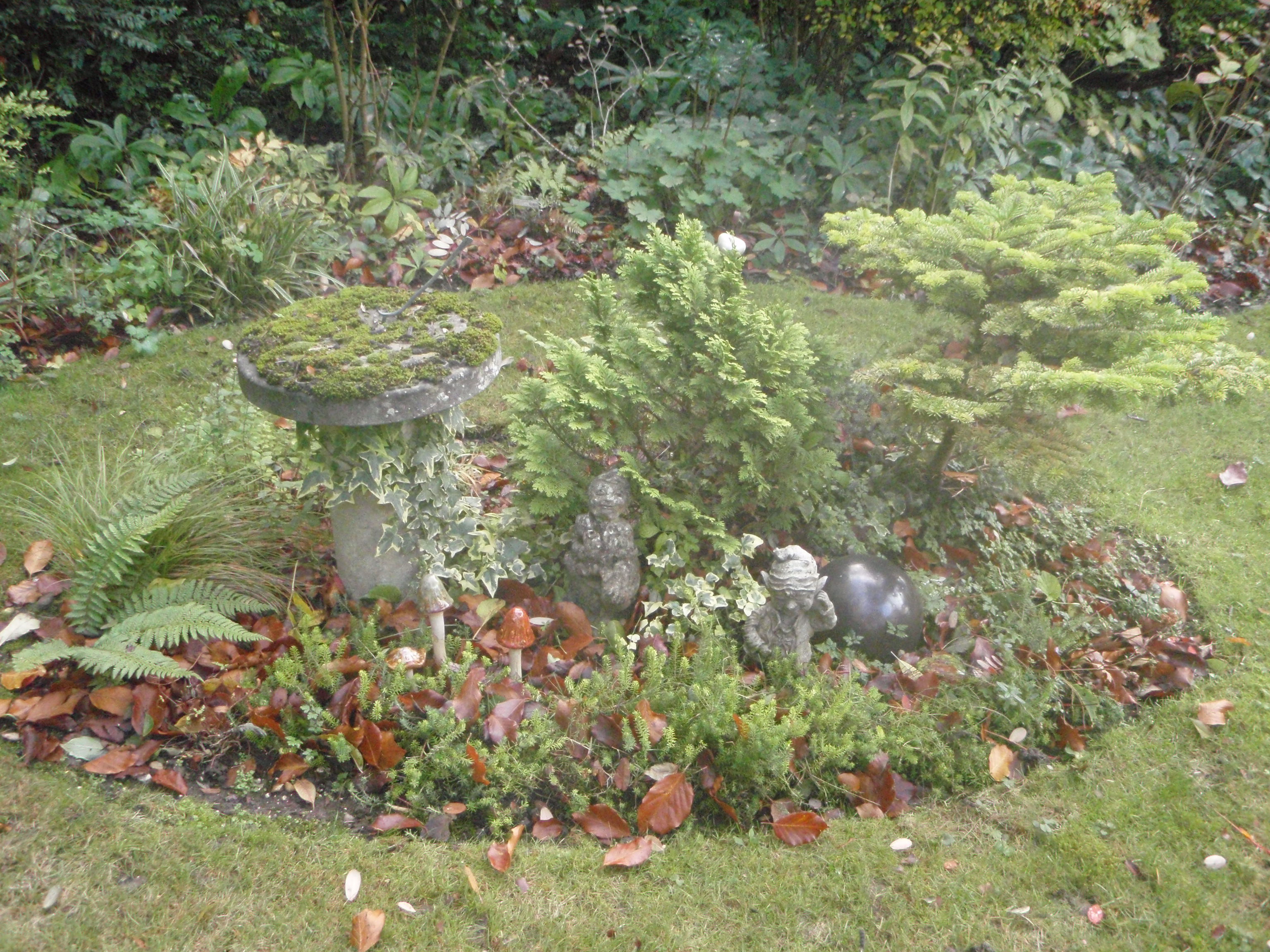 England garden 2