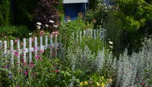 Picket fence and gravel garden