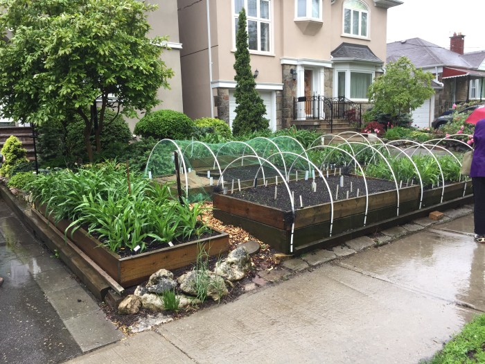 Vegetable front garden
