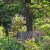 Sound garden 6