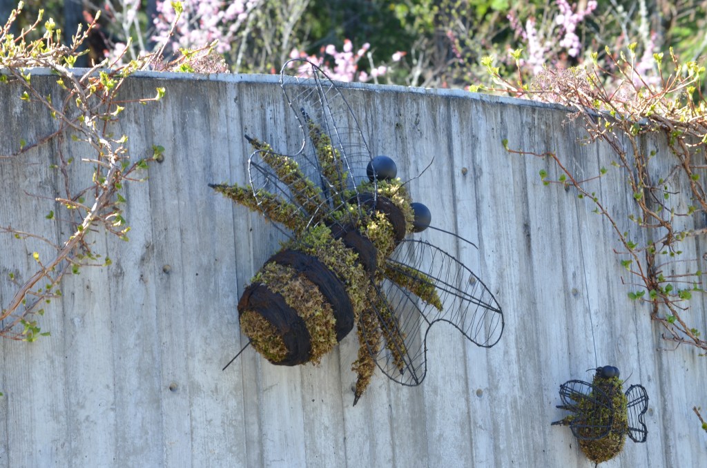 Giant moss bee