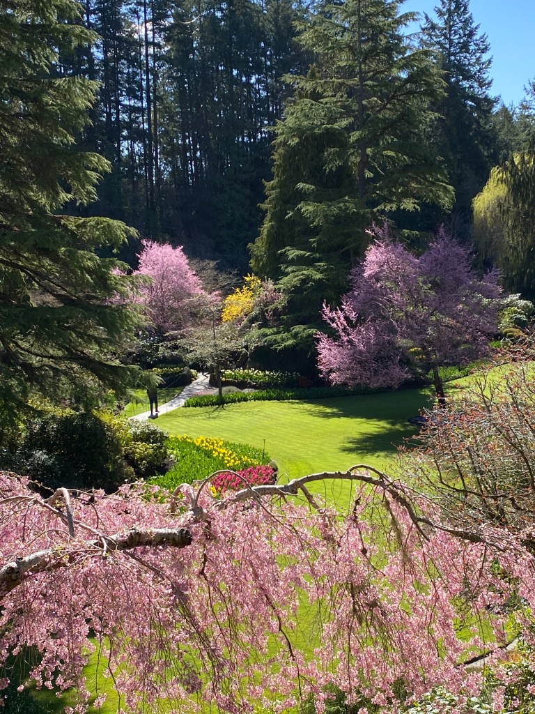 Spring lawn and beds at The Butchart Gardens
