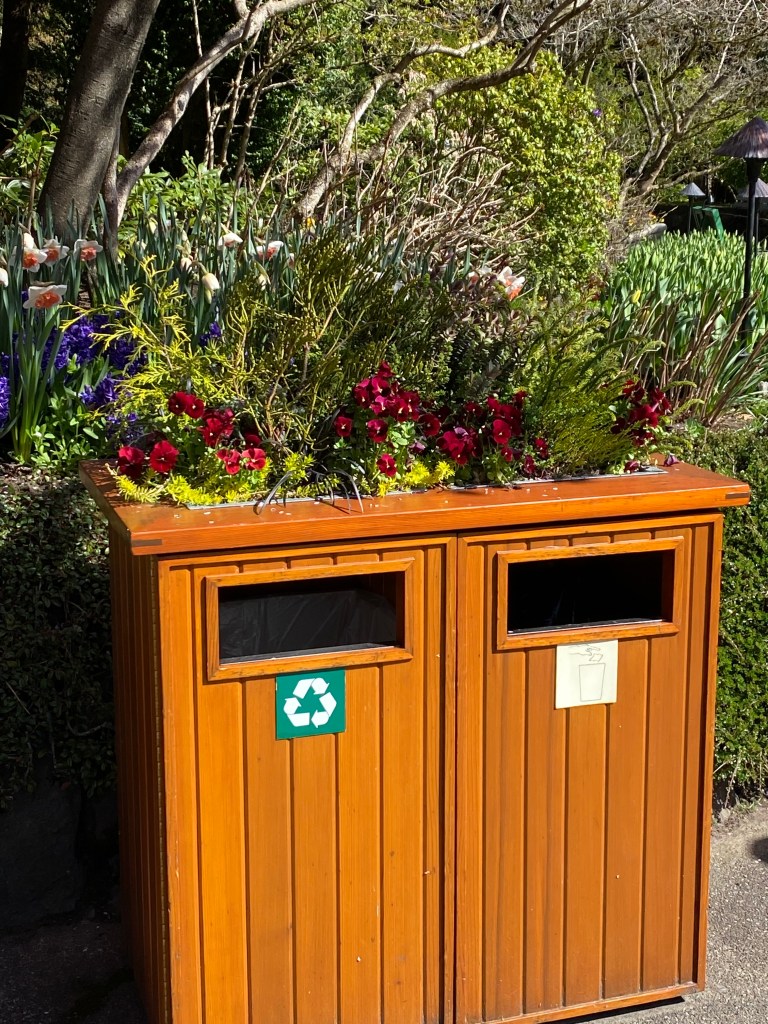 Waste containers as plant containers
