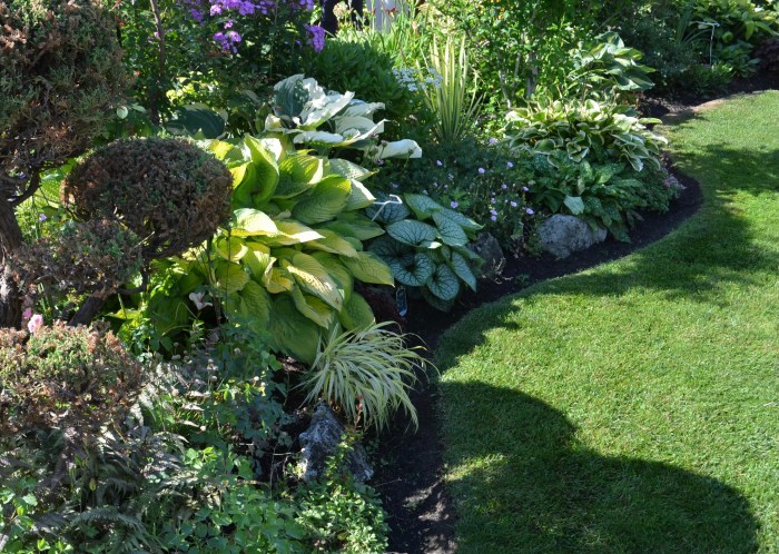 A modern garden with border and lawn
