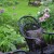 Garden seating areas
