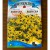 Rudbeckia Goldstrum