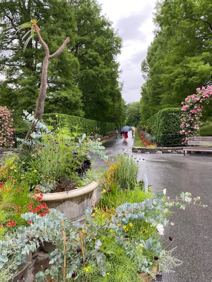 Top of long walk at Longwood Gardens