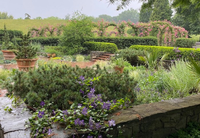 Dry garden and rose arbour