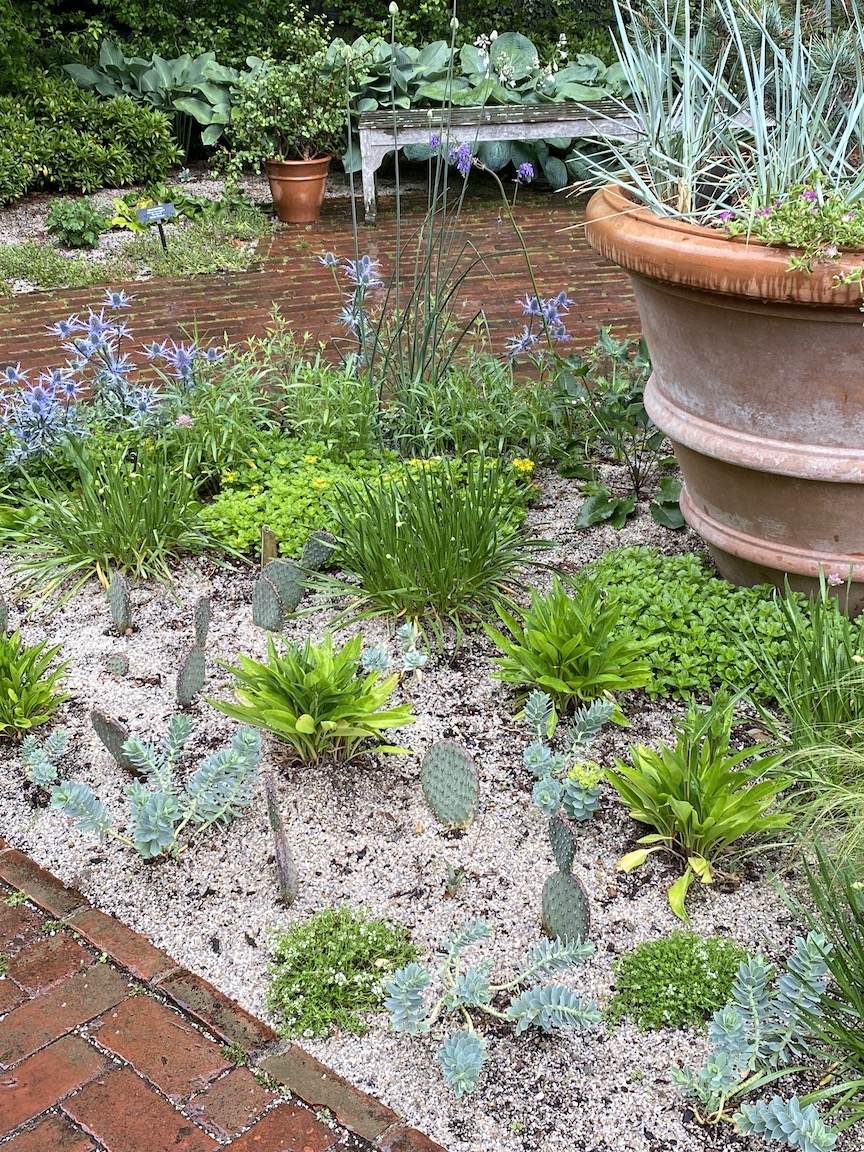 Detail of dry garden at Longwood