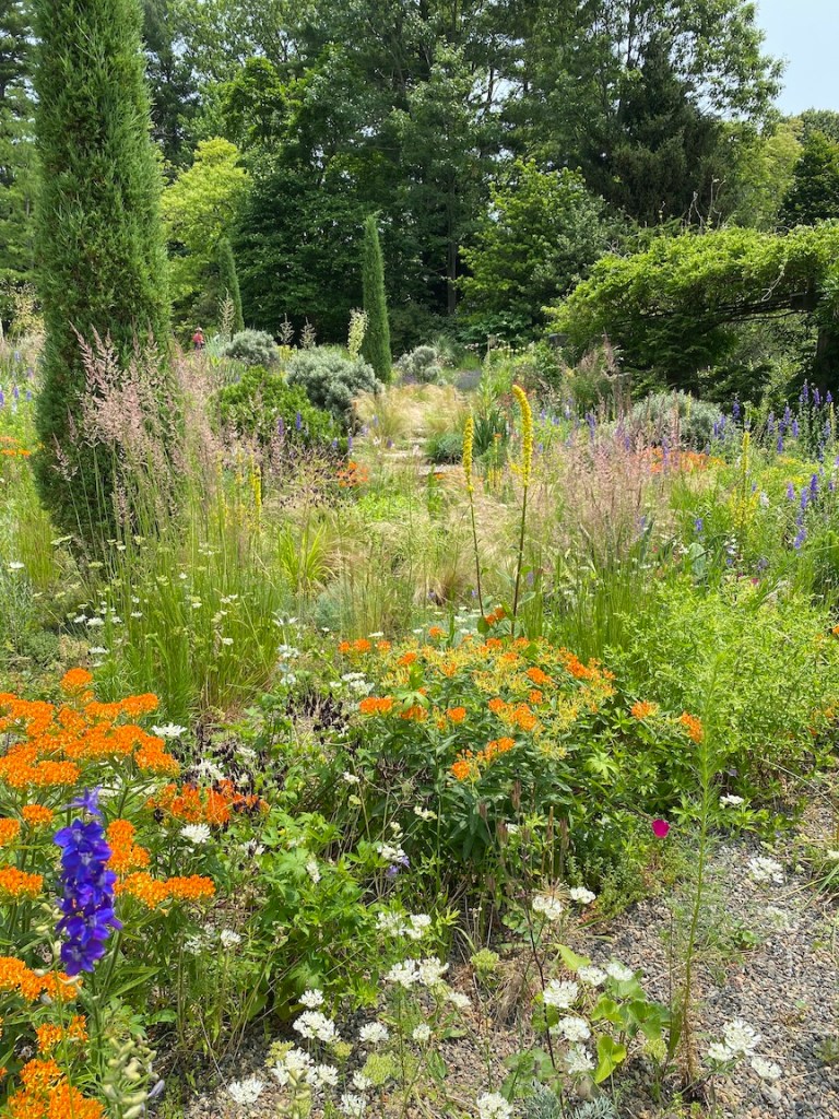 Grasses and flowers in a gravel garden