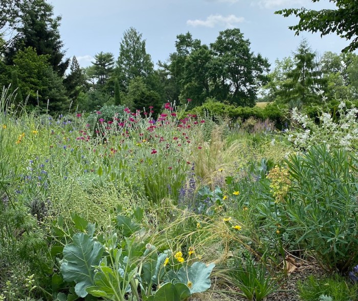 Gravel garden at Chanticleer