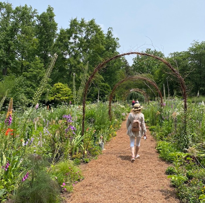 Cutting garden at Chanticleer
