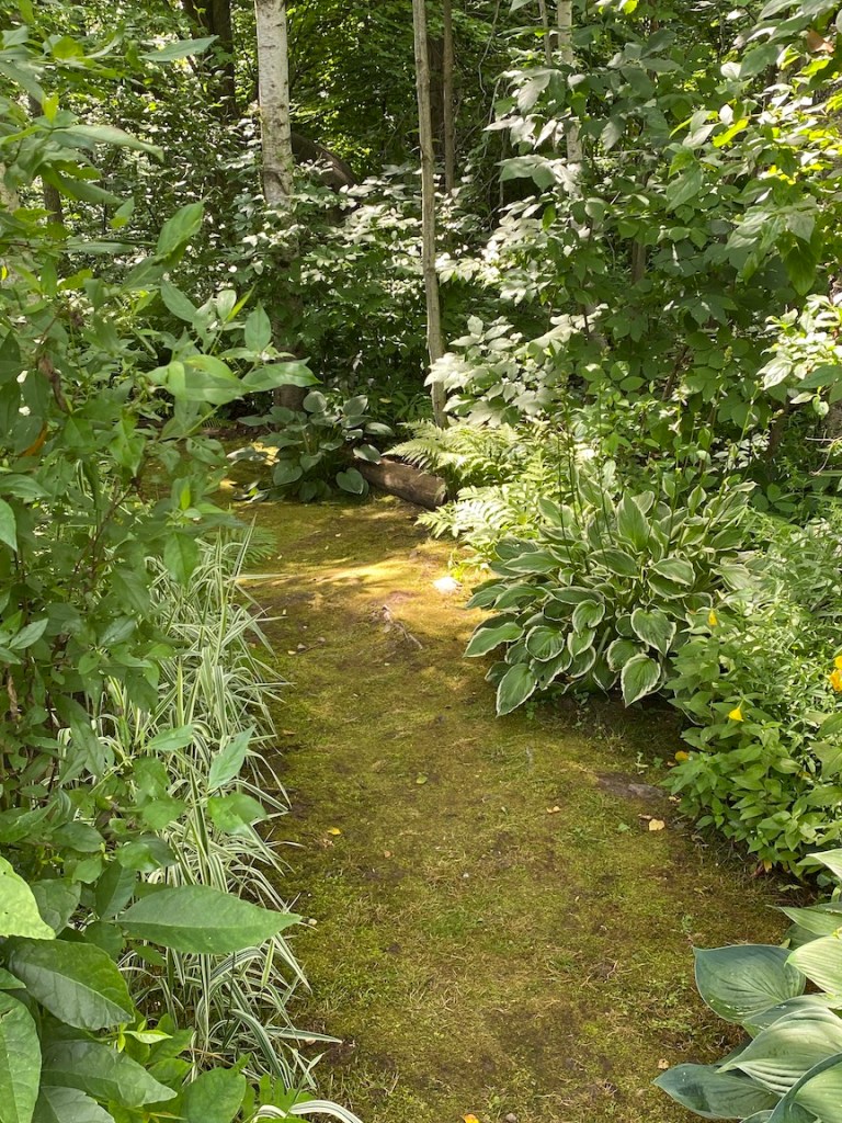 A garden path with moss
