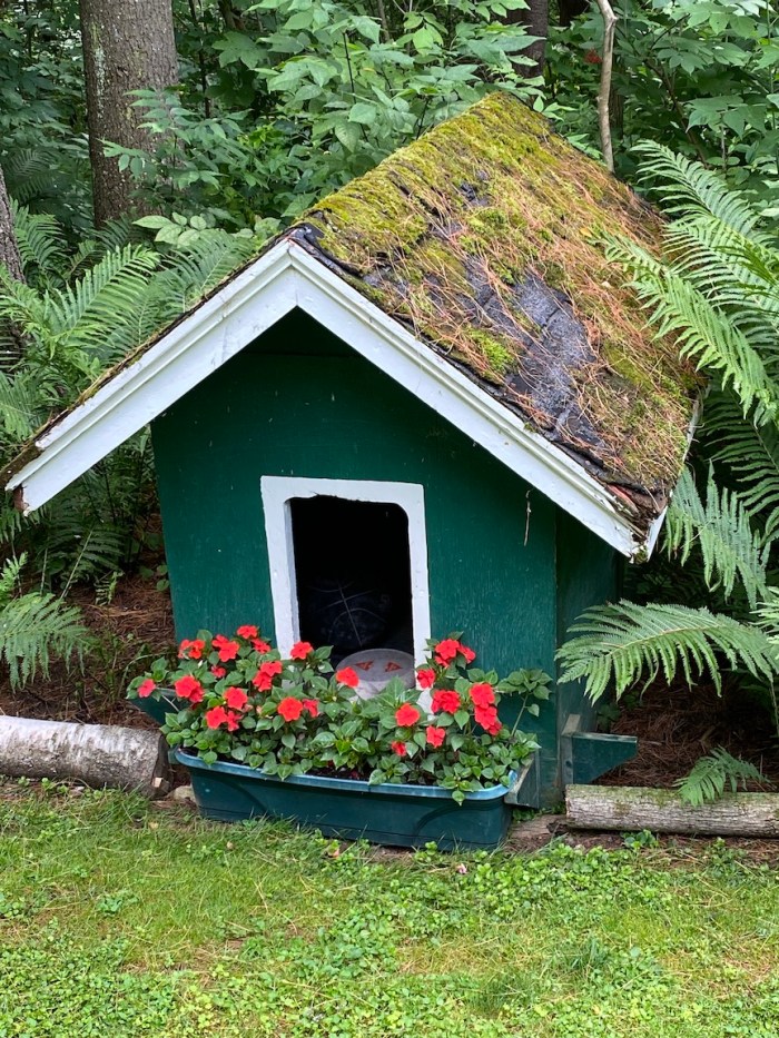 Re-purposed dog house