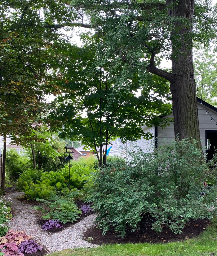 Gravel paths reclaim a garden