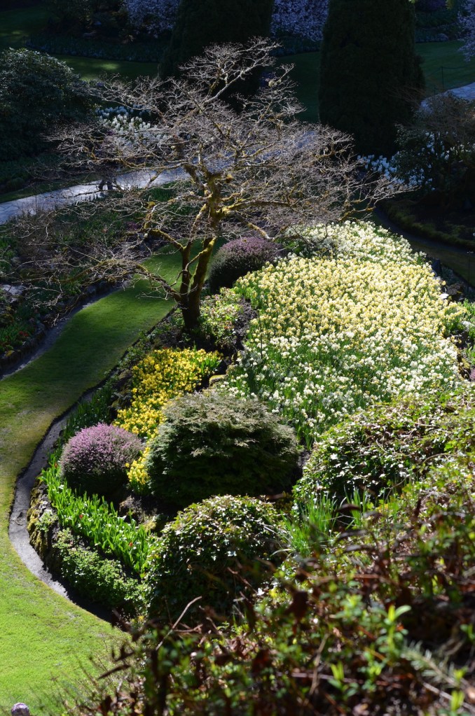 Butchart Gardens view from above