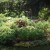 Garden bed on slope