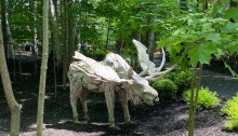 Wooden moose sculpture