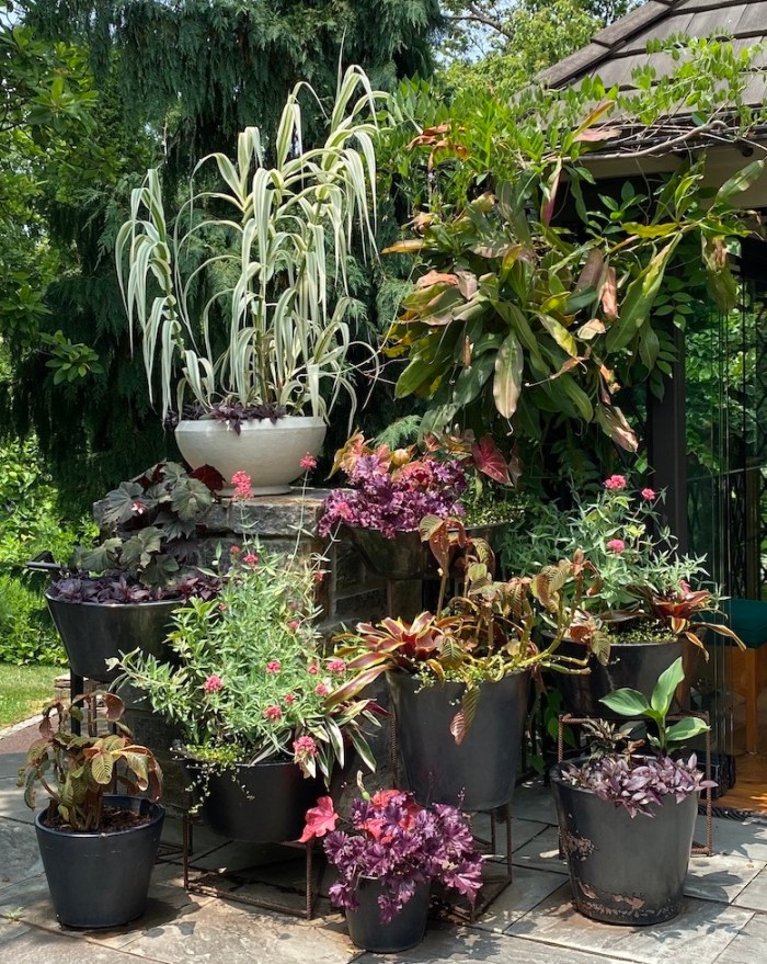 Display at Chanticleer