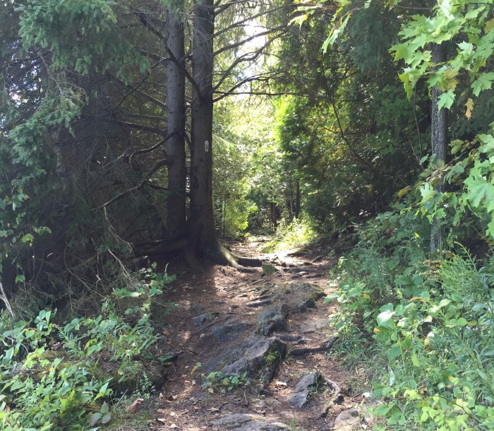 Bruce Peninsula trail