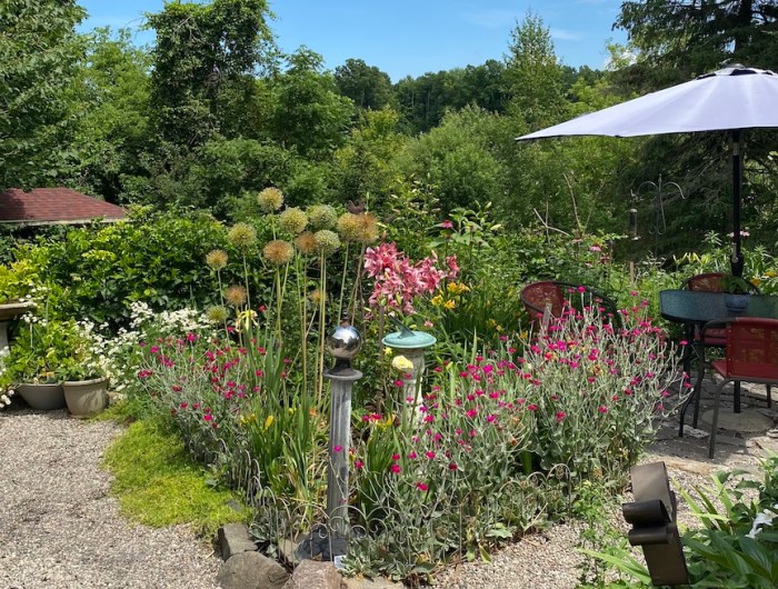 Full sun patio with summer flowers