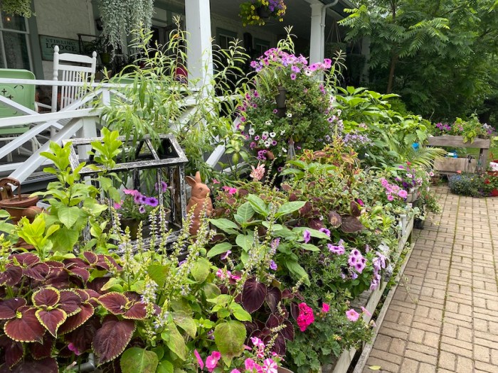 Front porch with flowering plants in pots