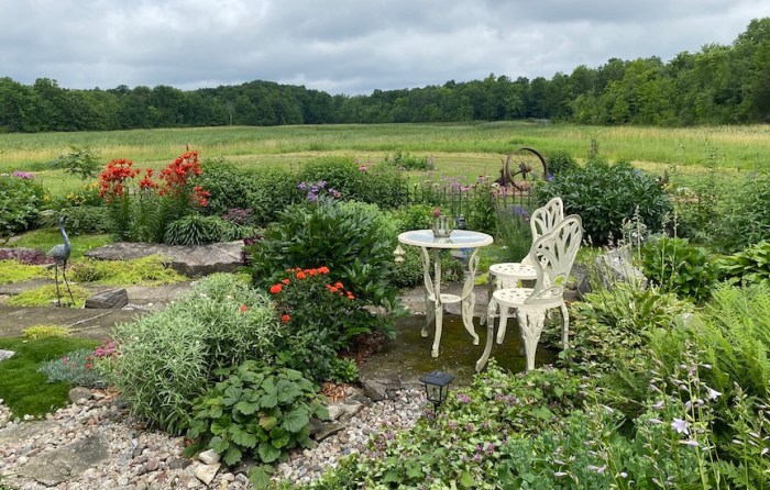 A view from the edge of a barn garden