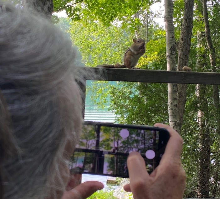 Squirrel and friend with phone