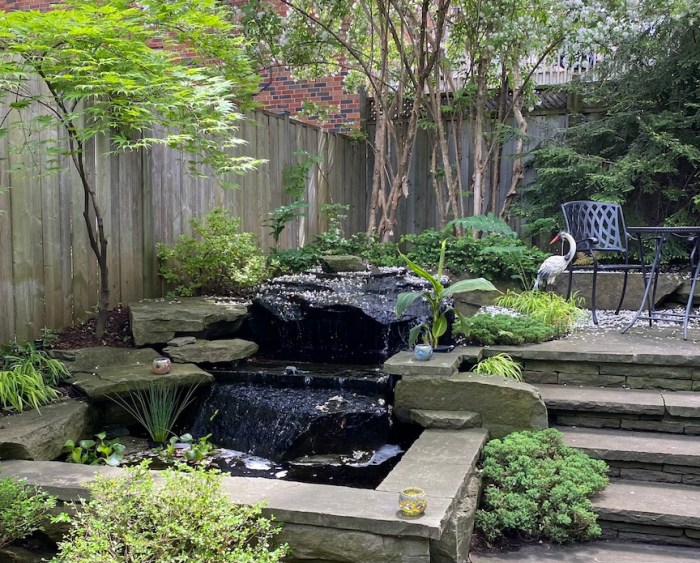 Backyard water feature