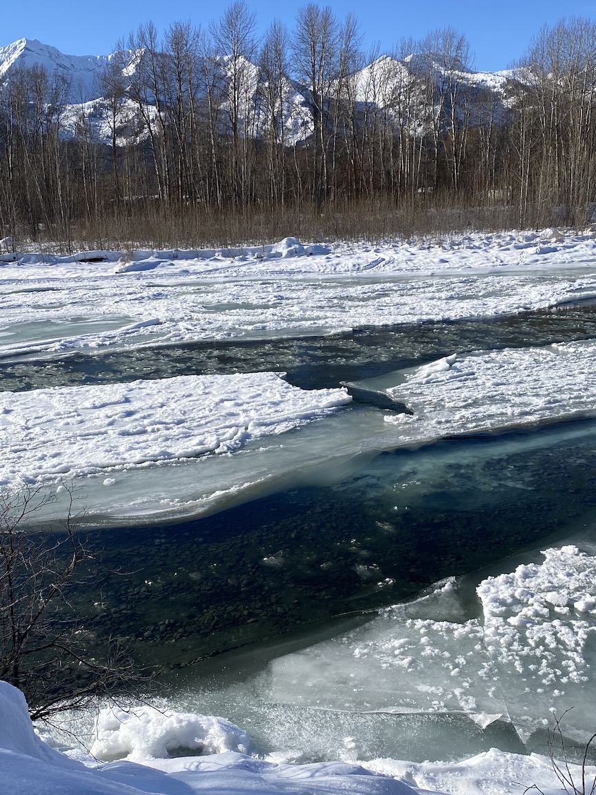 Ice on river