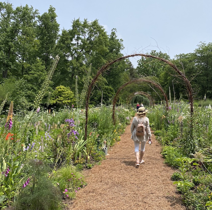 Cutting garden at Chanticleer