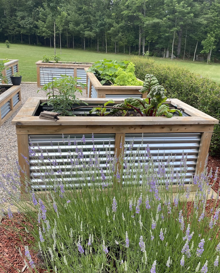 Metal raised bed